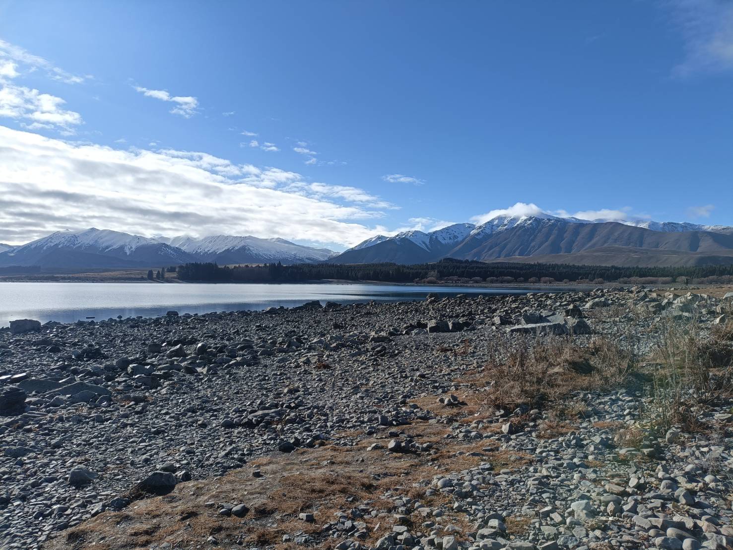 2025紐西蘭|蒂卡波湖 Lake Tekapo白色拱橋、好牧羊人教堂